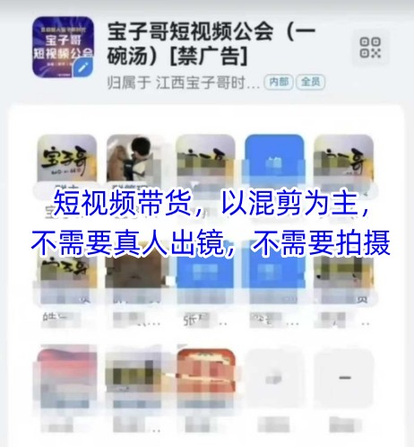 宝子哥头部团队短视频带货，以混剪为主，不需要真人出镜，不需要拍摄【更新11月】-灵感工坊云网创