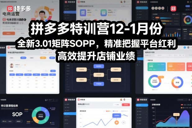 拼多多特训营12-1月份，全新3.01矩阵Sop，精准把握平台红利，高效提升店铺业绩-灵感工坊云网创
