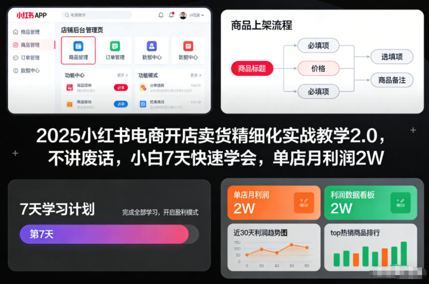 2025小红书电商开店卖货精细化实战教学2.0，不讲废话，小白7天快速学会，单店月利润2W-灵感工坊云网创