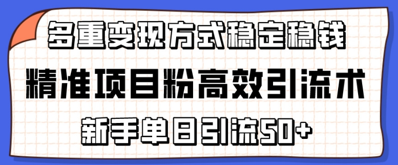 精准项目粉高效引流术，新手单日引流50+，多重变现方式稳定赚钱-灵感工坊云网创