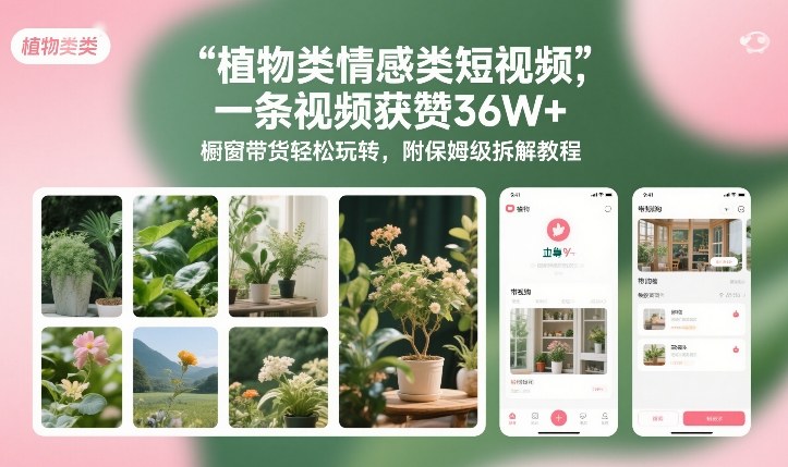 植物类情感类短视频，一条视频获赞36W+，橱窗带货轻松玩转，附保姆级拆解教程-灵感工坊云网创