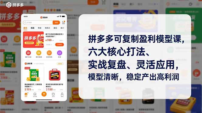 拼多多可复制盈利模型课，六大核心打法、实战复盘、灵活应用，模型清晰，稳定产出高利润-灵感工坊云网创
