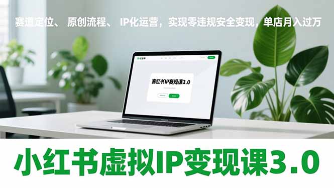 小红书虚拟IP变现课3.0，赛道定位、原创流程、IP化运营，实现零违规安全变现，单店月入过万-灵感工坊云网创