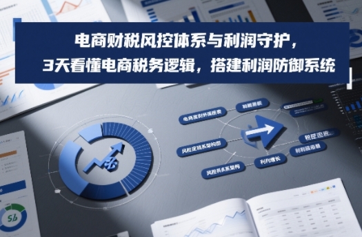 电商财税风控体系与利润守护，3天看懂电商税务逻辑，搭建利润防御系统-灵感工坊云网创