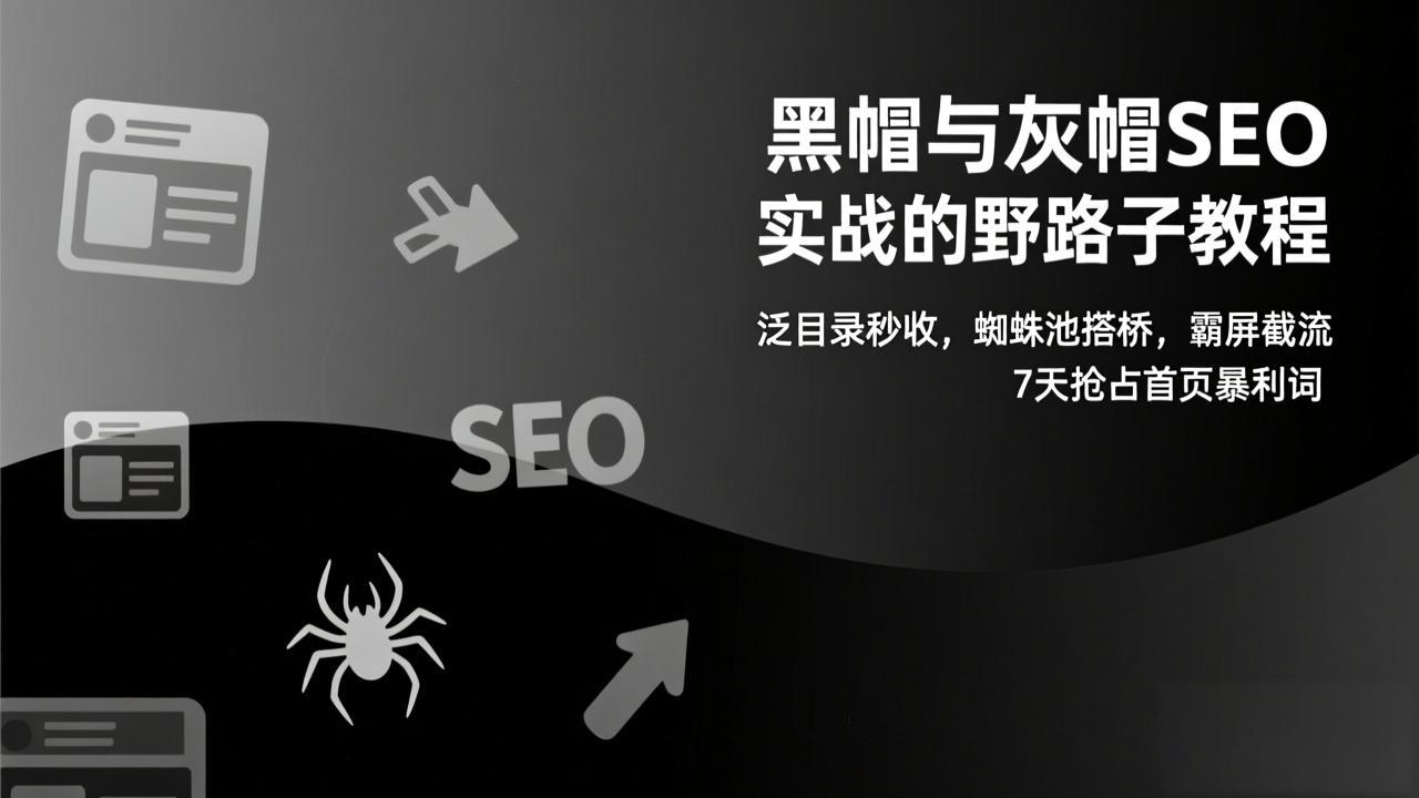 黑帽与灰帽SEO实战的野路子教程：泛目录秒收，蜘蛛池搭桥，霸屏截流，7天抢占首页暴利词-灵感工坊云网创
