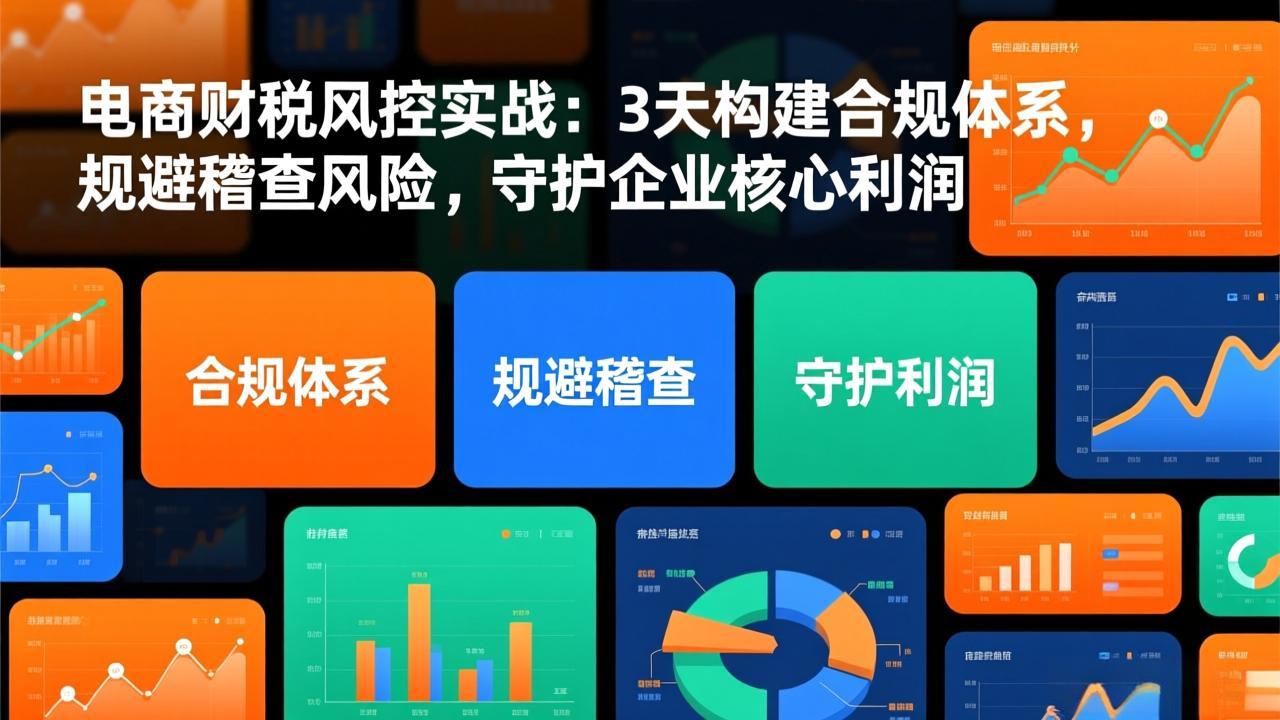 电商财税风控实战：3天构建合规体系，规避稽查风险，守护企业核心利润-灵感工坊云网创